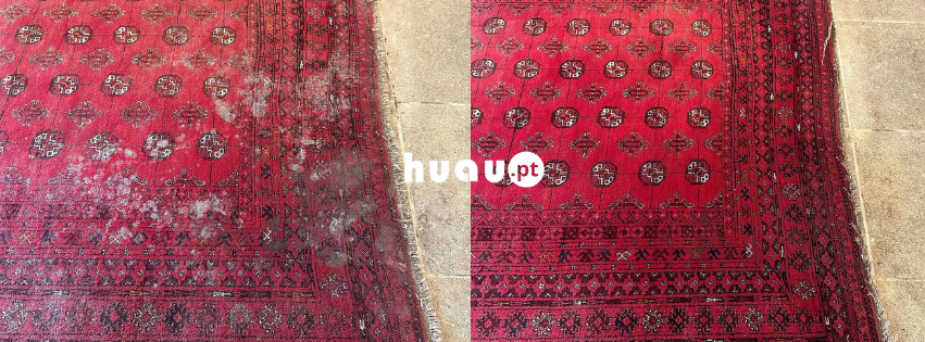 Antes e depois de limpeza de carpetes e tapetes ao domicílio HUAU - Lavagem profunda de fibras.