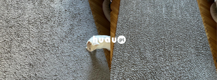 Resultado visual de antes e depois da limpeza de uma carpete encardida na Marinha Grande pela Huau.