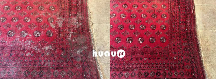 Lavagem de carpetes e sofás em Cantanhede - Antes e Depois Huau