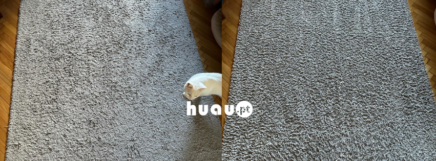 Limpeza de carpete em Ourém antes e depois Huau Limpezas
