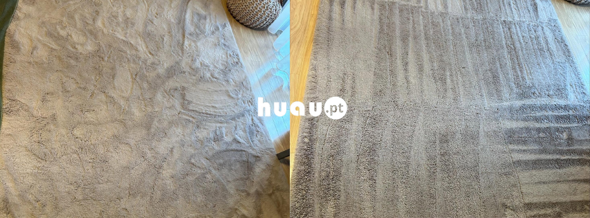 emonstração técnica de remoção de sedimentos e renovação de fibras em carpetes em Porto de Mós.