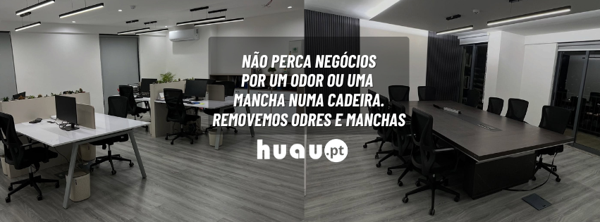 Higienização de estofos para empresas: escritórios, alcatifas e frotas automóveis - Huau.pt